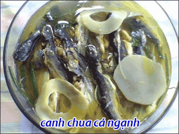 DS_250712_CANH-1.gif